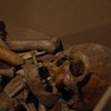 Украинские археологи обнаружили уникальное древнее захоронение