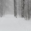 Зима близко: каких температурных рекордов ждать украинцам