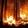 В Калифорнии вспыхнули пять лесных пожаров (видео)