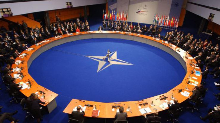 Резолюция ПА НАТО создает основания для начала избрания алгоритма относительно подготовки вступления в НАТО