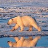 Украина и Франция подписали соглашение по Арктике