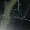 Жуткое фото: под Тернополем девочка делала селфи с петлей 
