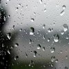 Прогноз погоды на 19 ноября: в Украине ожидаются дожди