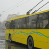 Во Львове за рулем троллейбуса внезапно умер водитель