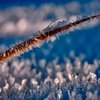 Гололед и снег: синоптики предупредили о грядущем морозе 