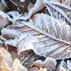 Погода на 24 ноября: в Украине ударит мороз до - 10 