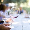 Почему вино полезно для здоровья: выводы ученых