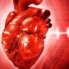 Как погода влияет на работу сердца: выводы медиков