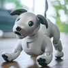 Sony выпустили собаку-робота (видео)