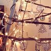 Новый год-2018: в Instagram появился тренд на необычную елку (фото)