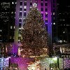 В Нью-Йорке зажгли огни на главной рождественской елке
