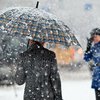 Погода на 30 ноября: страну накроют дожди с мокрым снегом