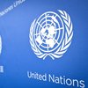 Сотрудников ООН массово обвиняют в сексуальных преступлениях