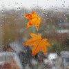 Погода на 7 ноября: в Украину вернутся дожди