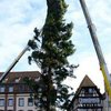 В Страсбурге треснула рождественская елка