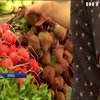 Вчені Ізраїлю вивели різнокольорові овочі