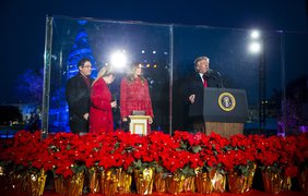 Дональд Трамп впервые на посту президента зажег огни на главной елке США 
