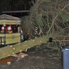 В Германии на посетителей рождественской ярмарки рухнула елка (фото)