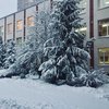 Зимняя сказка: киевляне делятся восхитительными фото снегопада 
