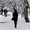 Снегопад оставил без электричества 147 населенных пунктов в Украине 