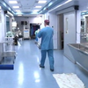 Израиль поможет Украине в создании центра пересадки костного мозга