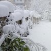 Погода на 21 декабря: Украину засыплет снегом 