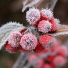 Погода в Украине на 20 декабря: на смену снегопадам придут морозы