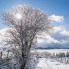 Прогноз погоды на 26 декабря: в Украине будет по-весеннему тепло