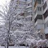 Спасался от соседа: киевлянин выпрыгнул с 7 этажа (фото)