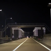 В Нидерландах осветили трассу с помощью водорослей (видео)