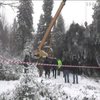 Новый год 2018: главная елка страны застряла по дороге в Киев