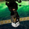Астронавты в космосе приготовили пиццу (видео)