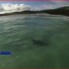 У Австралії серфінгіст зафільмував напад акули