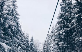Зимняя сказка в Карпатах / Фото: из Instagram 