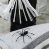 Народные приметы: к чему появляются пауки в доме 