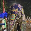 В Шрі-Ланці пройшов парад зі слонами та музикантами 