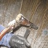В Днепропетровской области тесть случайно застрелил зятя на охоте 