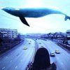 Группы смерти: подростков из Кривого Рога заманили в смертельную игру "Синий кит"