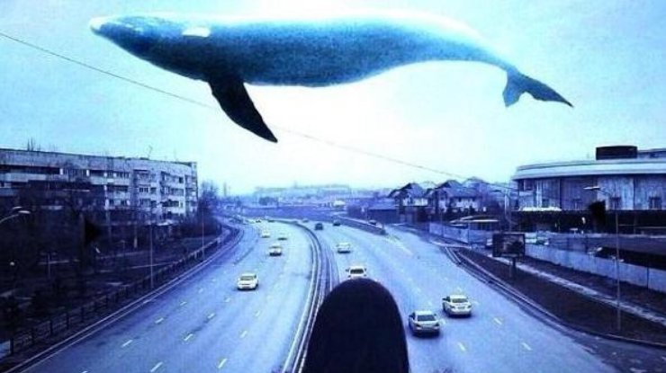 Подростков из Кривого Рога заманили в смертельную игру "Синий кит"