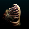 В Канаде обнаружен древний "червь-монстр" с большими зубами (фото) 