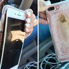 iPhone 7 взорвался прямо в руках владелицы (видео)
