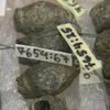 В Эстонии археологи раскопали клад эпохи викингов