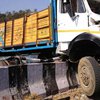 В Индии перевернулся грузовик с пассажирами (фото) 