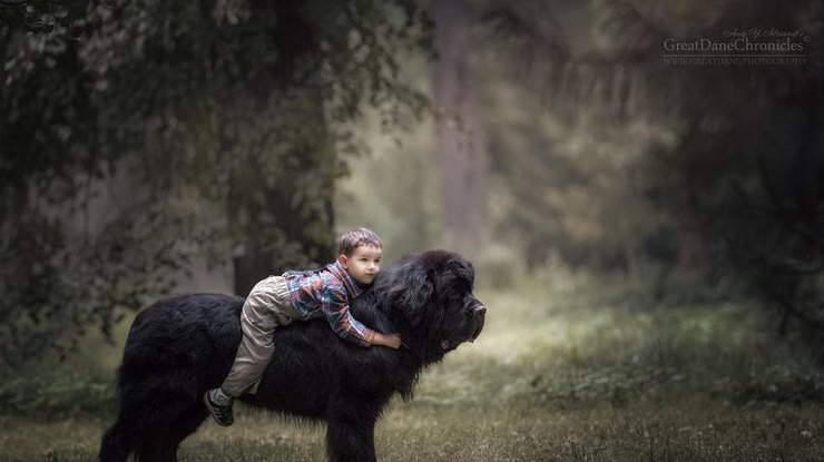 "Маленькие дети и их больше собаки": уникальный фотопроект Андрея Селиверстова