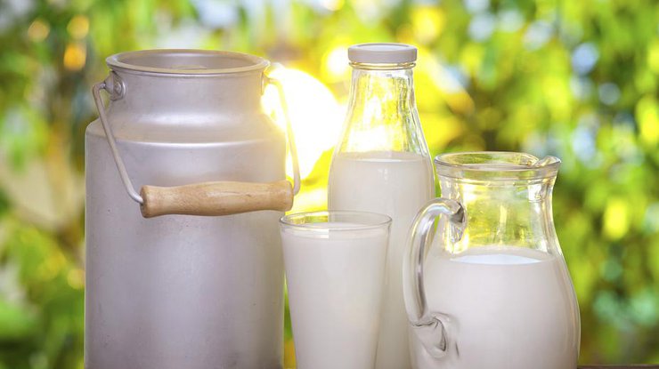 Молоко вредит здоровью взрослых людей
