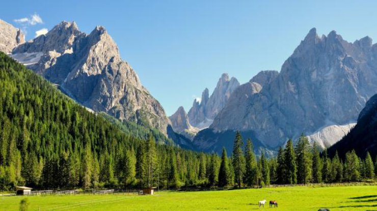 Швейцарец продает чистый альпийский воздух через интернет