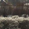 В Закарпатской области из-за потепления начались паводки (фото) 