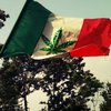 В Мехико разрешили эвтаназию и легализовали марихуану 