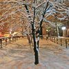 Погода в Киеве: город засыплет снегом 