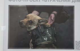 В метро Киева показали фото животных из АТО